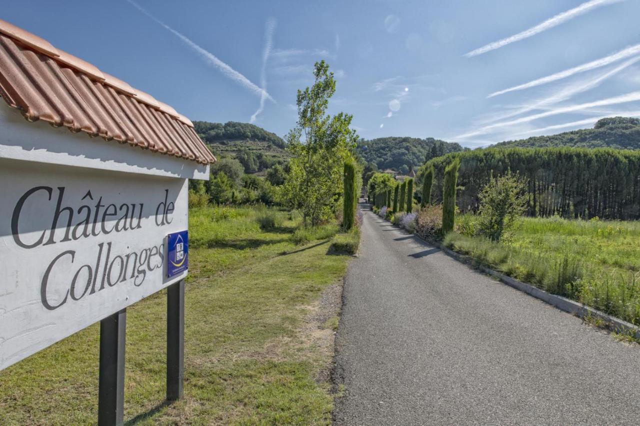 Chateau De Collonges Saint-Donat-sur-l'Herbasse Luaran gambar